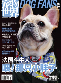 宠物世界